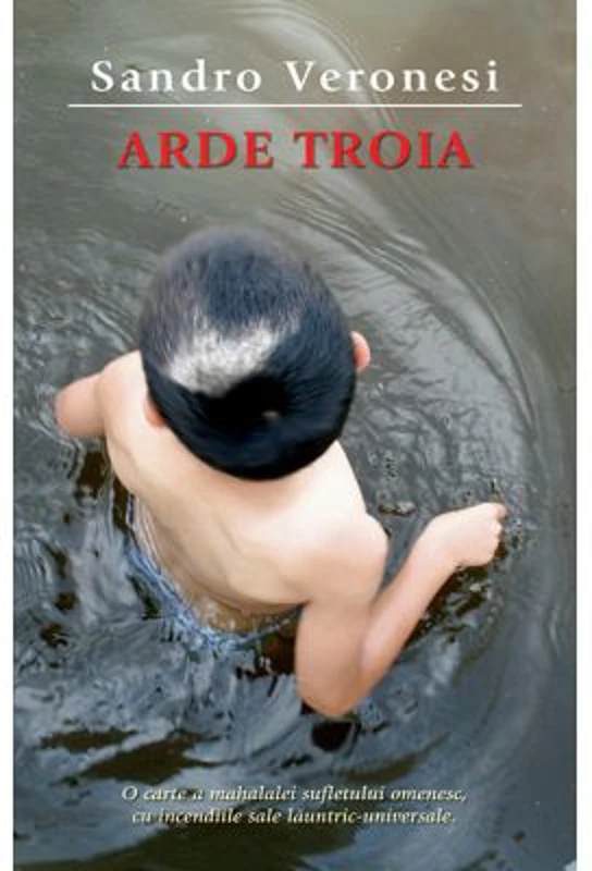 Arde Troia - Sandro Veronesi