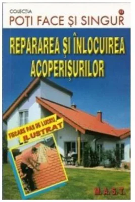 Repararea si inlocuirea acoperisurilor