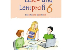 Lese- und Lernprofi 6 Schulerarbeitsheft silbierte Ausgabe Leseheft - Christa Koppensteiner