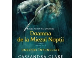 Doamna de la Miezul Noptii (cartea intai a seriei Uneltiri intunecate)