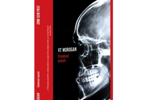 Frumosul asasin - V. T. Morogan