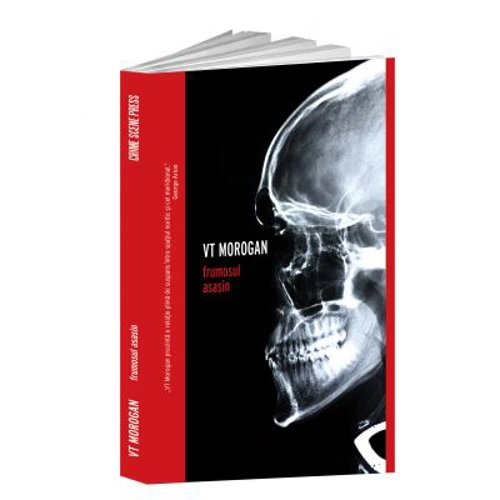 Frumosul asasin - V. T. Morogan