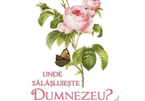 Unde salasluieste Dumnezeu. Povestiri pentru copii, parinti si bunici - LS Desartovici, Ilustratii Olga Bersan