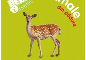 Animale din padure. Bebe invata