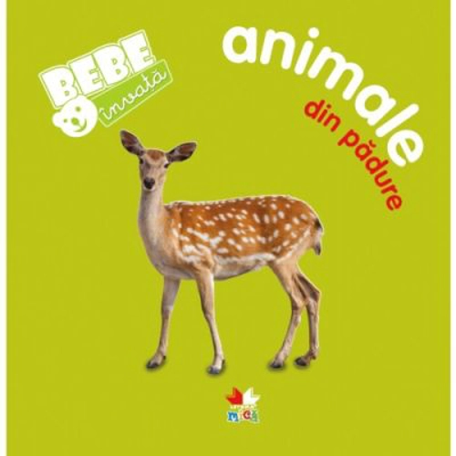 Animale din padure. Bebe invata
