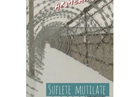 Suflete mutilate - Ioan Armeanu