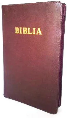 Biblia de studiu pentru copii. Coperta piele visinie, LPI152