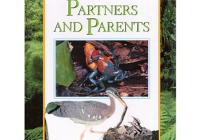 Partners and Parents. Secrets of the Rainforest - Michael Chinery