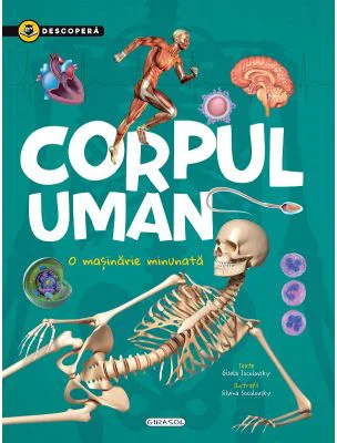 Descopera. Corpul uman - Gisela Socolovsky