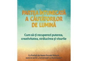 Partea intunecata a cautatorilor de lumina - Debbie Ford