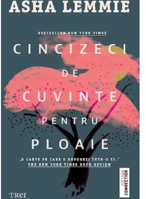 Cincizeci de cuvinte pentru ploaie