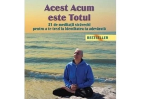 Acest Acum este Totul - Daniel Mitel