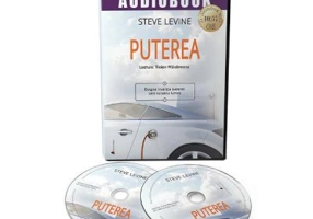 Audiobook. Puterea - Steve LeVine
