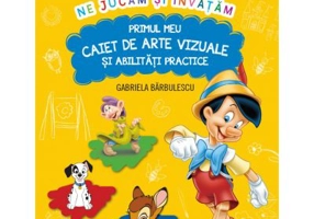 Ne jucam si invatam. Primul meu caiet de arte vizuale si abilitati practice - Gabriela Barbulescu