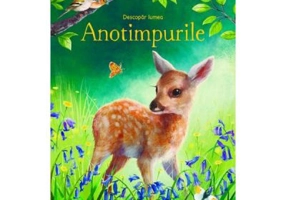 Descopar lumea Anotimpurile