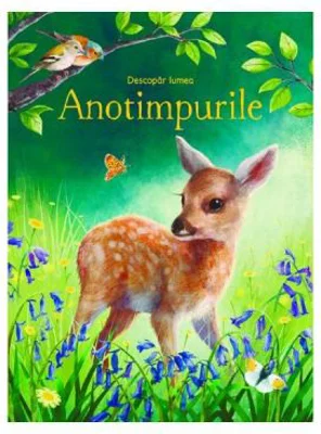 Descopar lumea Anotimpurile