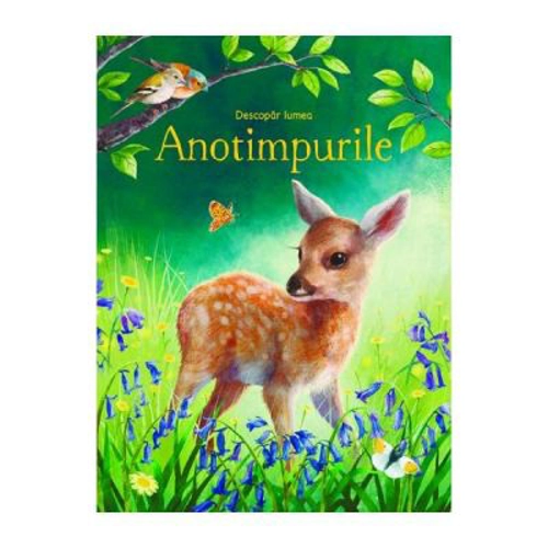 Descopar lumea Anotimpurile