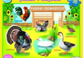 Puzzle Pasari domestice
