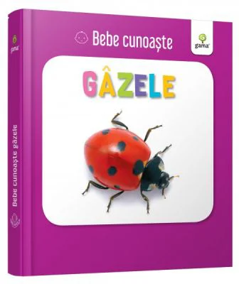 Gazele. Bebe Cunoaste