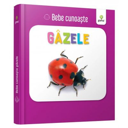 Gazele. Bebe Cunoaste