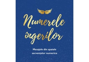 Numerele ingerilor. Mesajele din spatele secventelor numerice - Kyle Gray