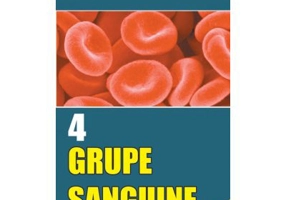 4 grupe sanguine - Inesa Tiporkina