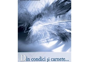 Din condici si carnete…
