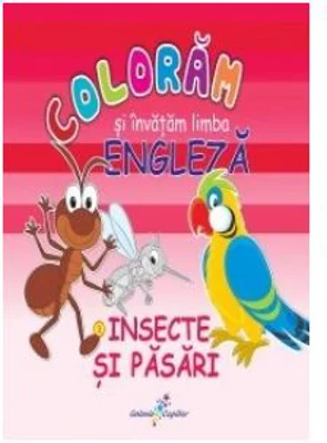 COLORAM SI INVATAM LIMBA ENGLEZA (3). INSECTE SI PASARI