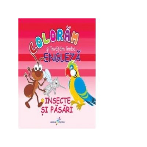 COLORAM SI INVATAM LIMBA ENGLEZA (3). INSECTE SI PASARI