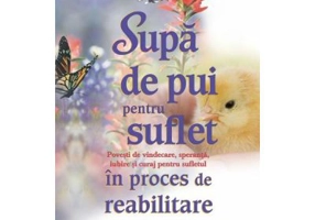 Supa de pui pentru suflet. Povesti de vindecare, speranta, iubire si curaj pentru sufletul in proces de reabilitare - Jack Canfield