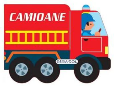Vehicule cu motor. Camioane