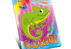 Carte cu autocolante. Culori