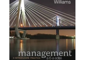 Management. O introducere practica - Kinicki Williams