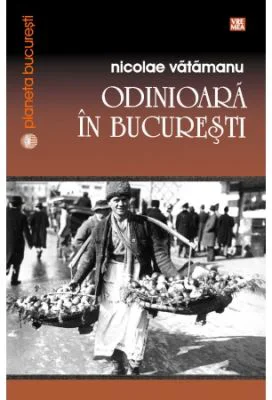 Odinioara in Bucuresti - Nicolae Vatamanu