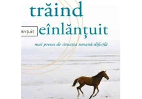 Traind neinlantuit - Michael A. Singer
