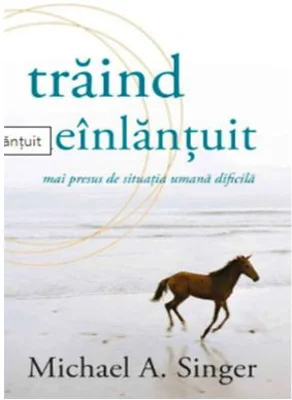 Traind neinlantuit - Michael A. Singer