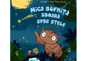 Mica bufnita zboara spre stele