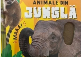 Mangaie, simte si asculta