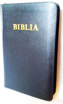 Biblia de studiu pentru copii. Coperta piele gri, LPI144