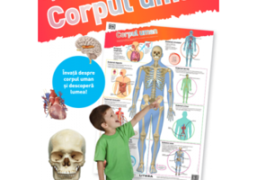 Corpul uman. Planse educationale