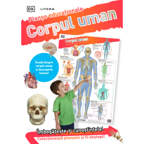 Corpul uman. Planse educationale