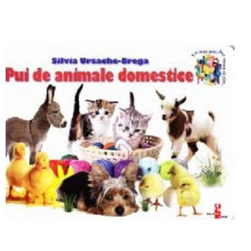 Pui de animale domestice