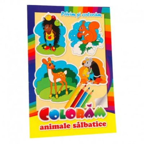 Coloram Animale salbatice. Privim si coloram