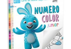 NumeroColor. Junior