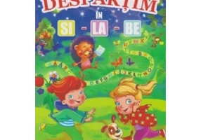 Despartim in si-la-be - Alexandru Andrei