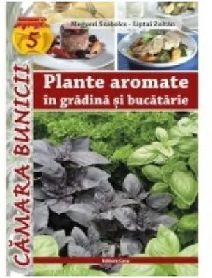 Plante aromate in gradina si bucatarie
