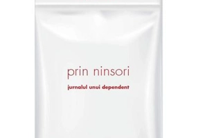 Prin ninsori
