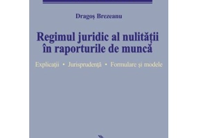 Regimul juridic al nulitatii in raporturile de munca. Explicatii. Jurisprudenta. Formulare si modele - Dragos Brezeanu