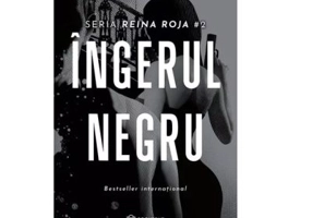 Ingerul negru - Juan Gomez-Jurado