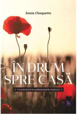 In drum spre casa. Un pelerinaj de la umilinta pana la vindecare